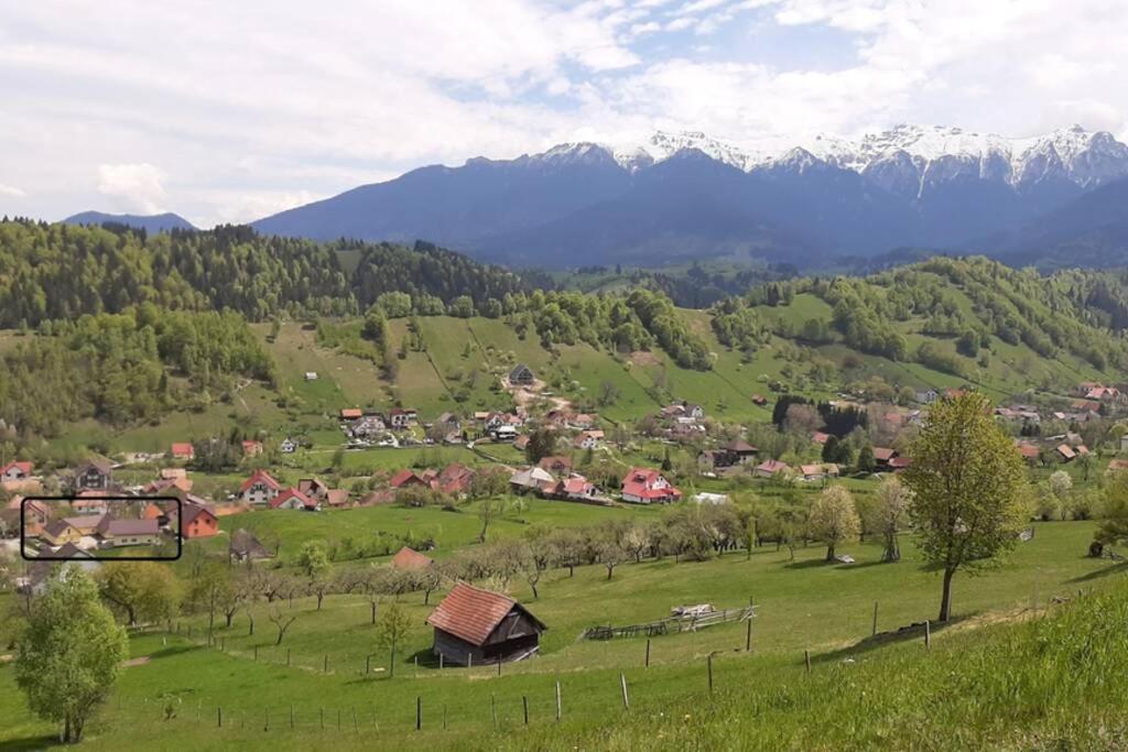 Casa In Curte La Zavate Villa Bran  Dış mekan fotoğraf
