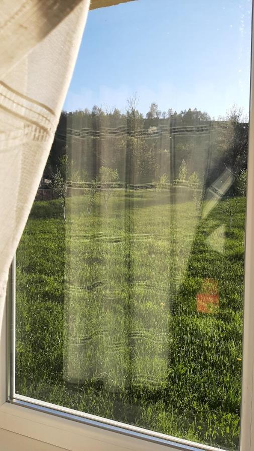 Casa In Curte La Zavate Villa Bran  Dış mekan fotoğraf