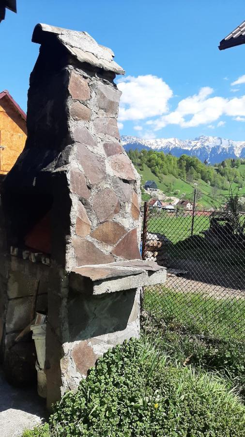 Casa In Curte La Zavate Villa Bran  Dış mekan fotoğraf